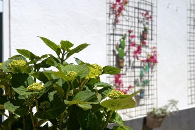 Sidestreet House Villa ซานด์โวร์ต ภายนอก รูปภาพ